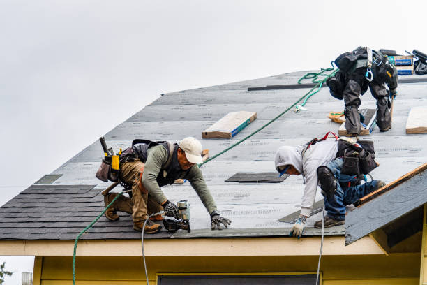 Professional Gutter Installation technician working in Elberta, AL